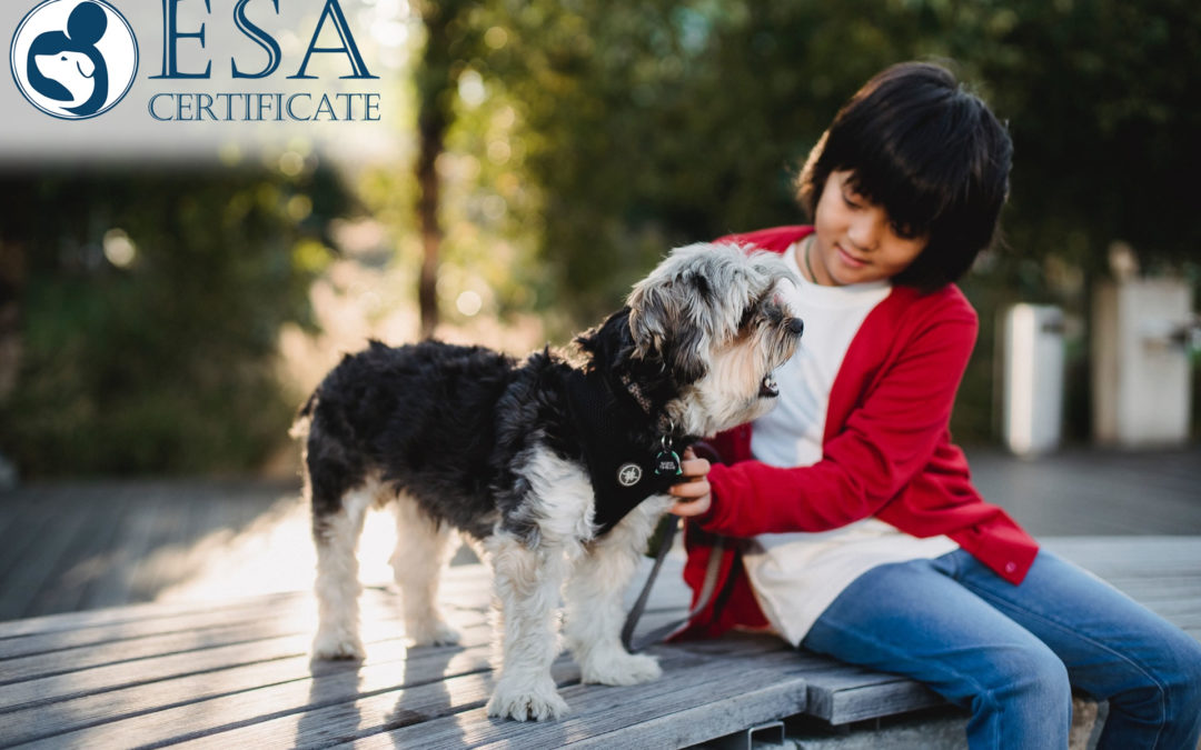 Best Emotional Support Dog Breeds for Depression