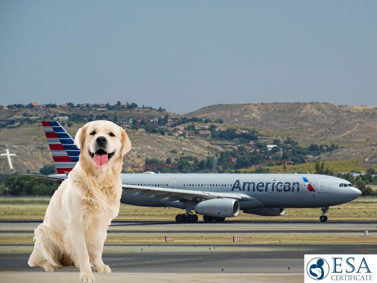 Which Airlines still allow Emotional Support Animals ESA Certificate