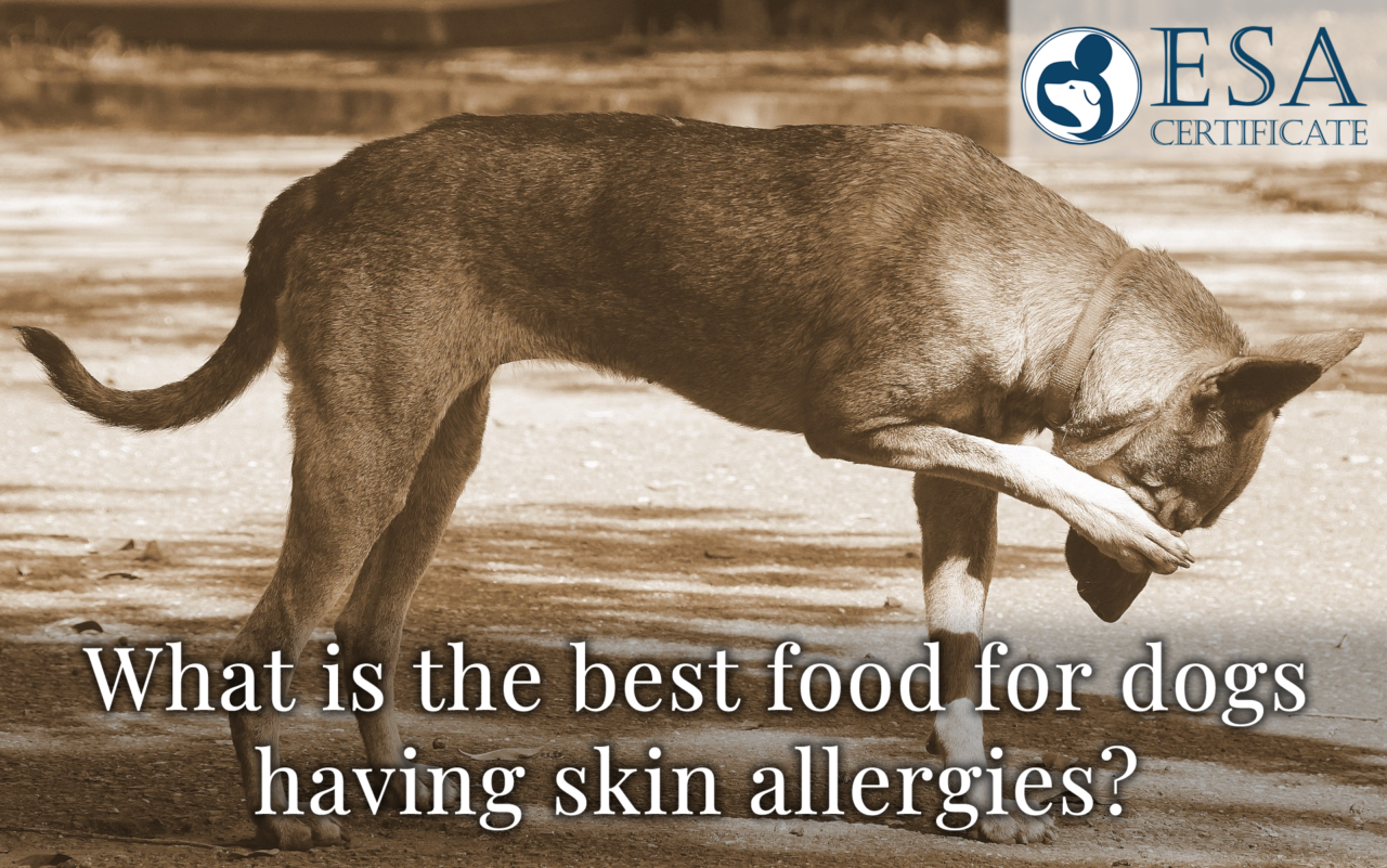 What is the best food for dogs having skin allergies? ESA Certificate