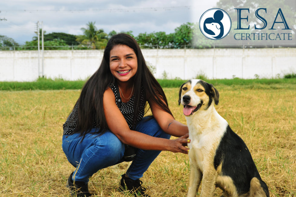 Your quick & easy option for getting your pet certified as an Emotional