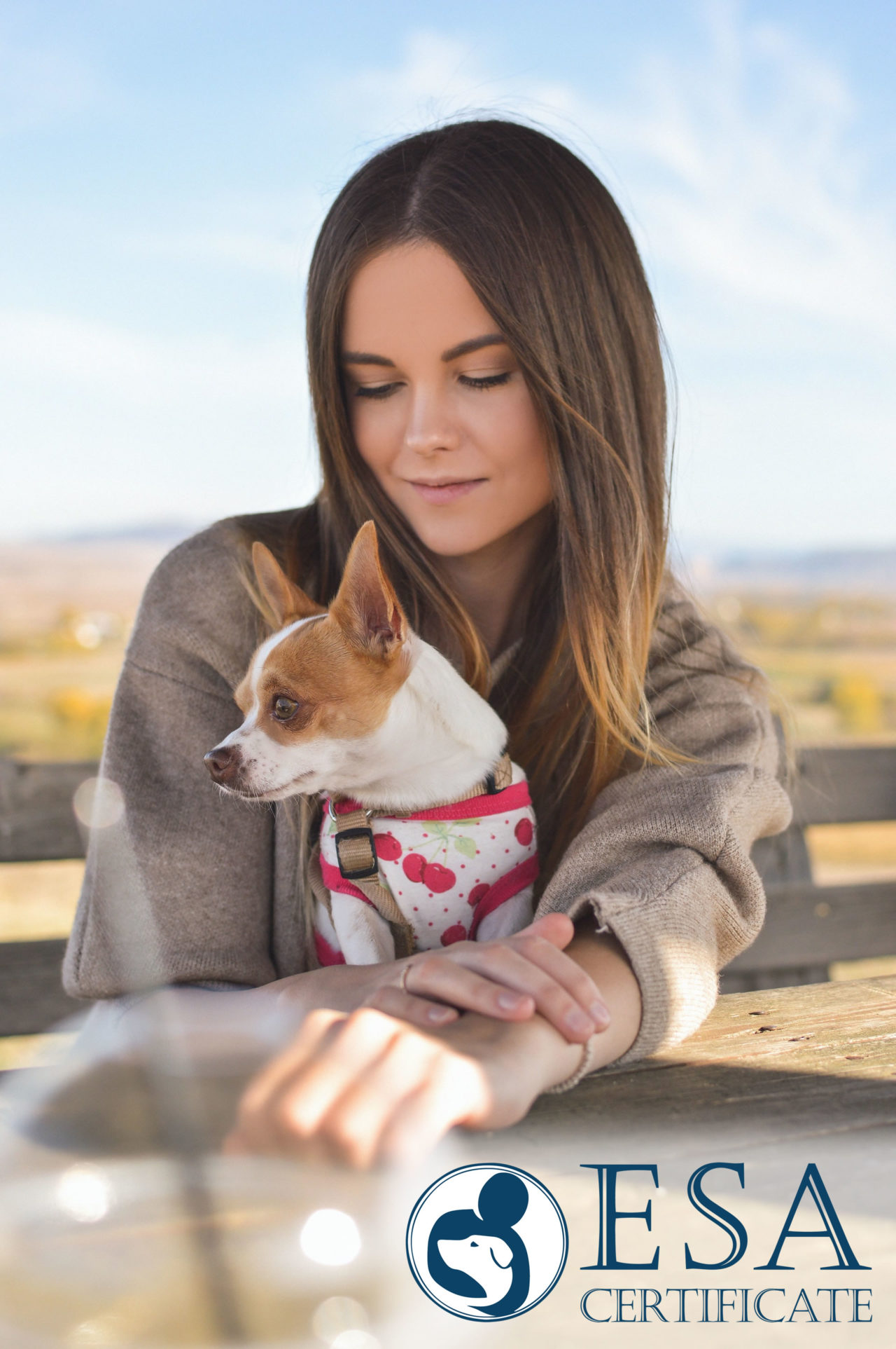 emotional-support-animal-certificate-customizable-with-pets-handlers