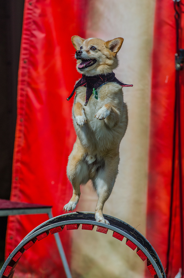 kevin-jarrett-ukwvVT5Jy9s-unsplash