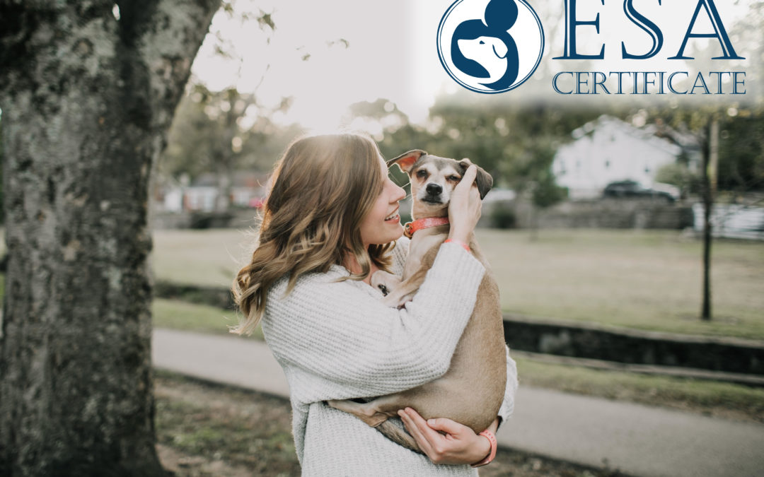 How to get an Emotional Support Dog certified?