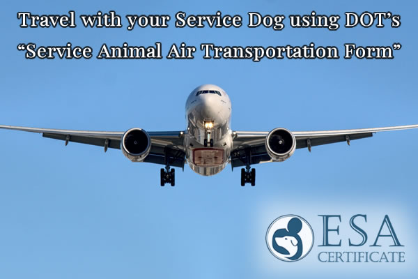 Travel with your Service Dog using DOT’s Service Animal Air Transportation Form