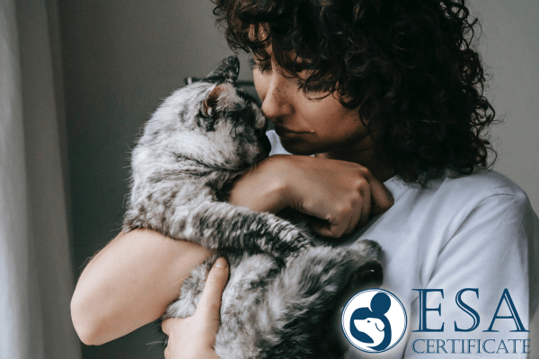 The benefits of the cat as an Emotional Support Animal