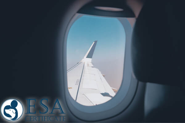 Avoid airline restrictions when traveling with your pet with an ESA certificate