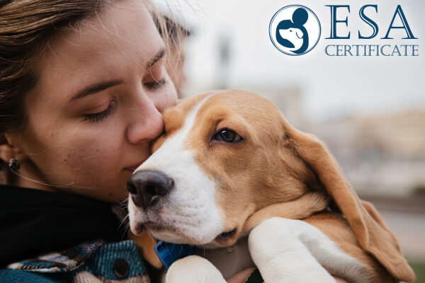 12 benefits of Emotional Support Animals for mental health