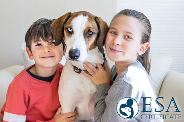 Pros of Emotional Support Pets for Children