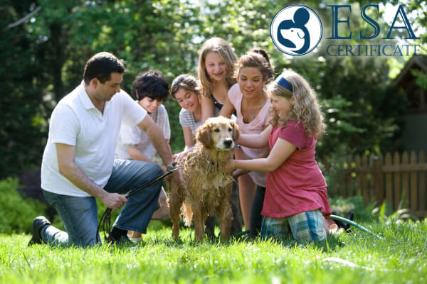 5 reasons for the usefulness of Emotional Support Dogs in every family